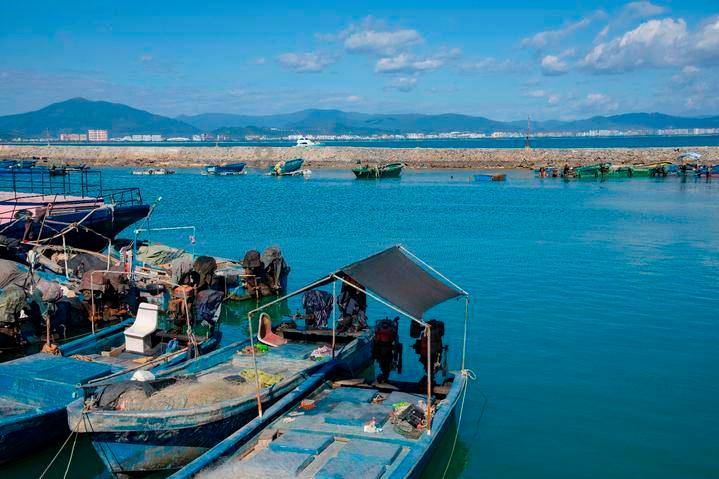 重庆姐弟坠亡案被告人张波、叶诚尘被执行死刑