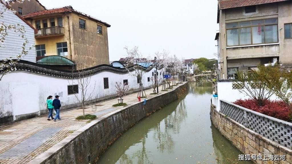虫虫助手下载